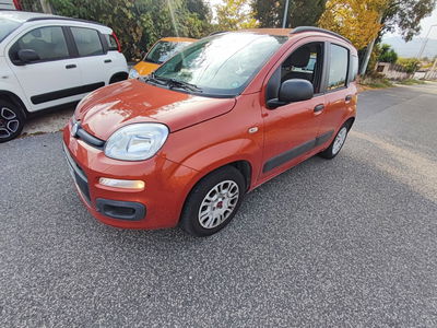 Fiat Panda 1.2 EasyPower Lounge usata