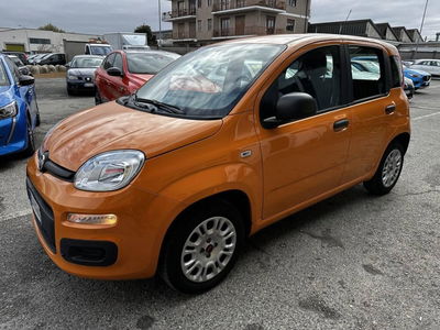 Fiat Panda 1.2 Easy usata