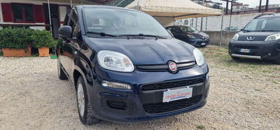 Fiat Panda 1.2 Easy usata