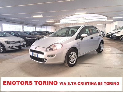 Fiat Punto 1.2 8V 5 porte Street usata