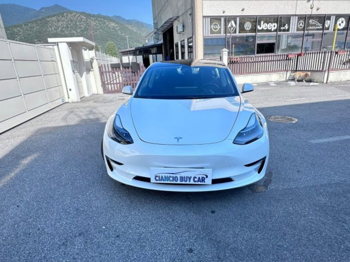 Tesla Model 3 Model 3 Long Range Dual Motor AWD (5)