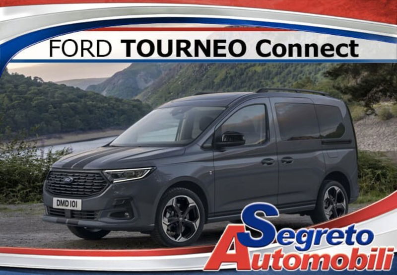 Ford Tourneo Connect 2.0 EcoBlue 102 CV Plus