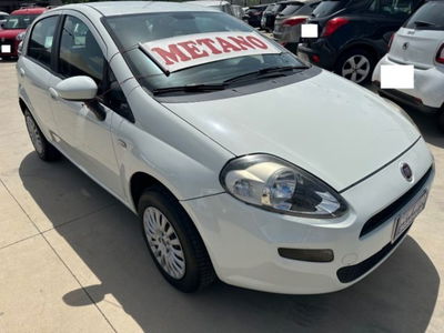 Fiat Punto 1.4 8V 5 porte Natural Power Easy usata