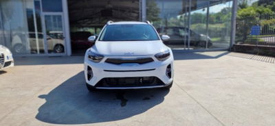 Kia Stonic 1.0 t-gdi mhev Urban 100cv mt nuova
