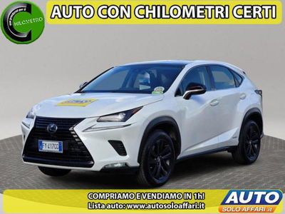 Lexus NX Hybrid 4WD F-Sport usata
