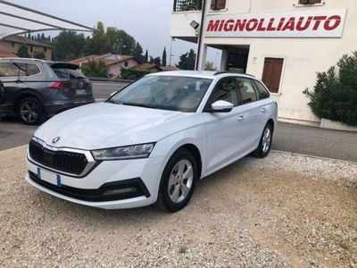 Skoda Octavia Station Wagon 2.0 TDI EVO SCR 150 CV DSG 4x4 Wagon Executive usata