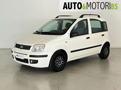 Fiat Panda 1.2 Dynamic usata