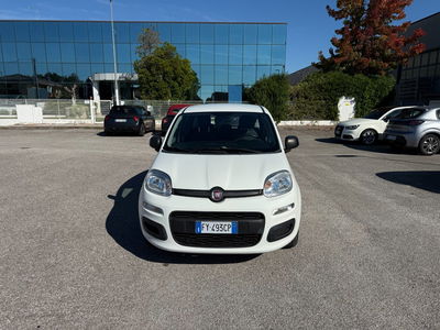Fiat Panda 1.2 Easy usata