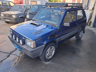 Fiat Panda 1100 i.e. cat 4x4 Trekking usata