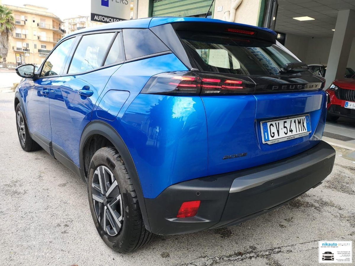 Peugeot 2008 PureTech 100 S&S Active (7)