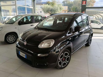 Fiat Panda 1.0 FireFly S&S Hybrid usata