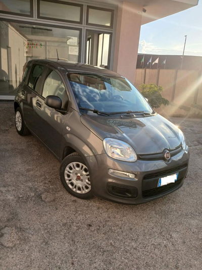 Fiat Panda 1.0 FireFly S&S Hybrid usata