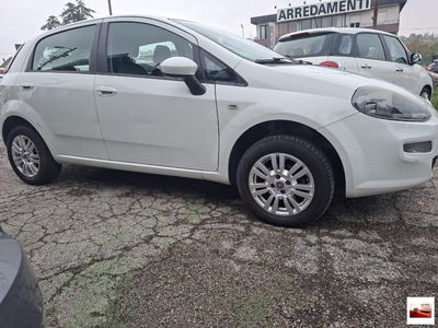 Fiat Punto 1.4 8V 5 porte Natural Power Easy usata