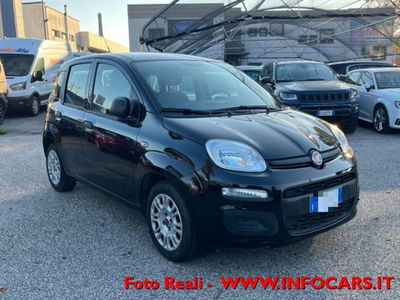 Fiat Panda 1.0 firefly hybrid s&s 70cv 5p.ti usata