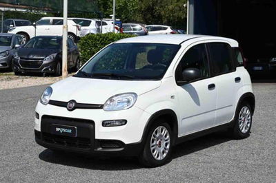 Fiat Panda 1.0 firefly hybrid s&s 70cv 5p.ti usata