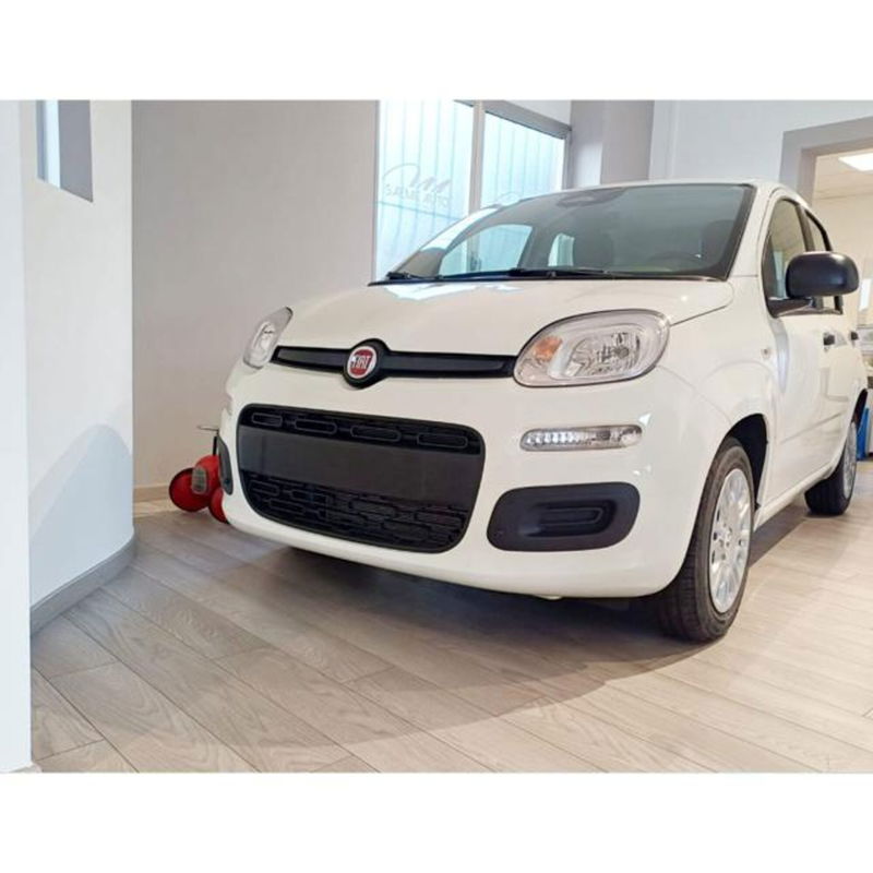Fiat Panda 1.0 firefly hybrid Icon s&s 70cv