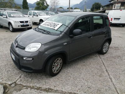 Fiat Panda 1.0 firefly hybrid s&s 70cv 5p.ti usata