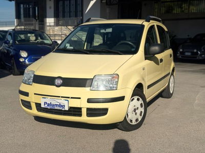 Fiat Panda 1.2 Dynamic usata