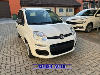 Fiat Panda 1.0 firefly hybrid s&s 70cv 5p.ti nuova