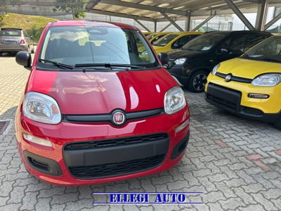Fiat Panda 1.0 firefly hybrid s&s 70cv 5p.ti nuova