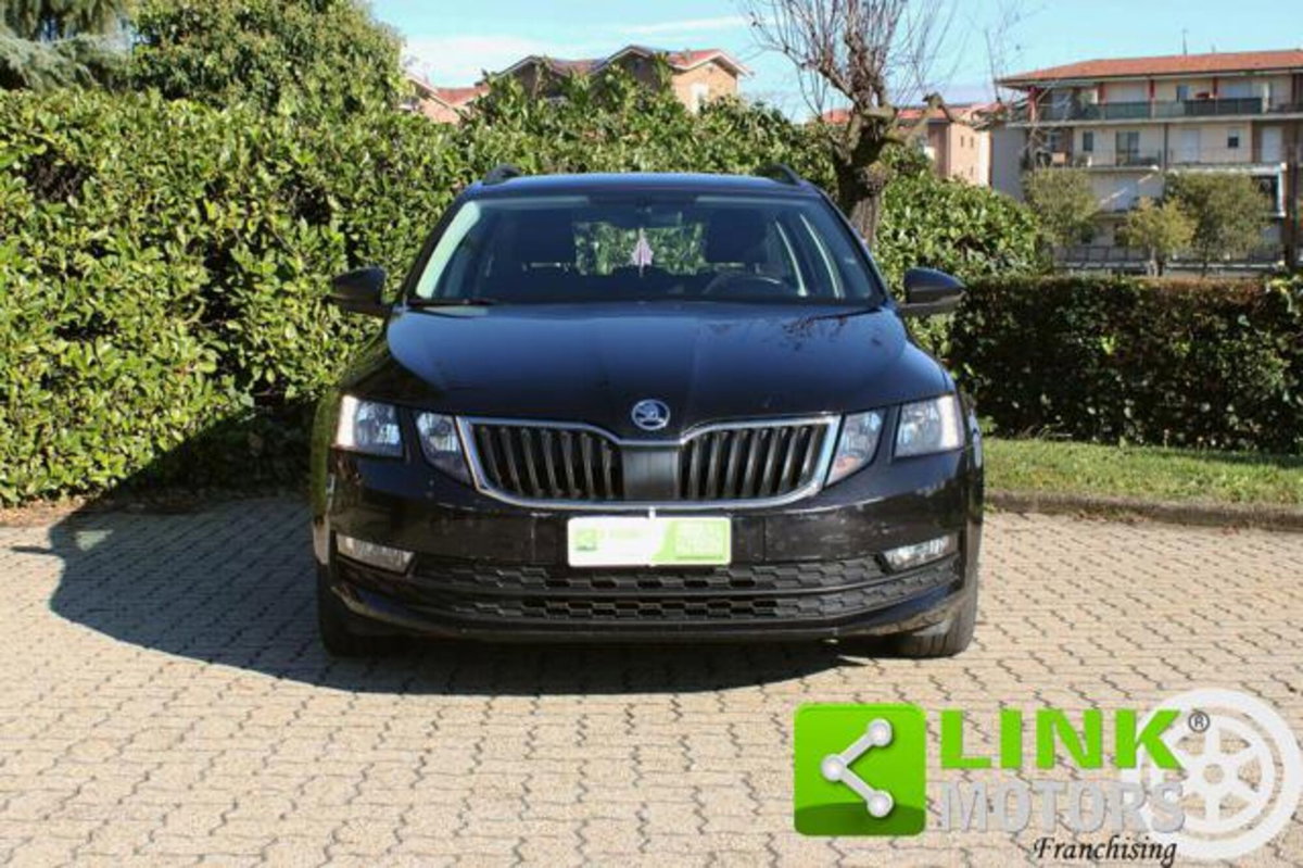 Skoda Octavia Station Wagon 1.6 TDI CR 115 CV DSG Wagon Executive (15)