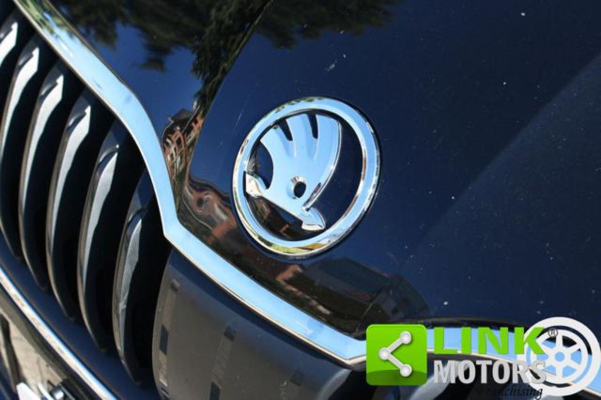 Skoda Octavia Station Wagon 1.6 TDI CR 115 CV DSG Wagon Executive (4)