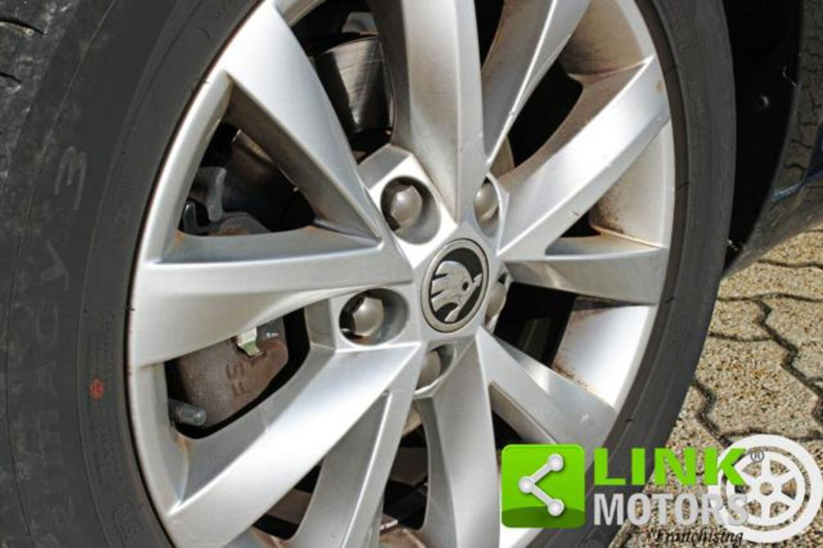 Skoda Octavia Station Wagon 1.6 TDI CR 115 CV DSG Wagon Executive (6)