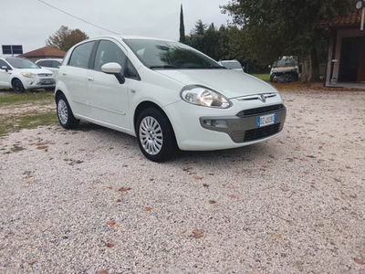 Fiat Punto Evo 1.4 5 porte Dynamic GPL usata