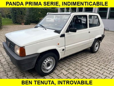 Fiat Panda 1100 i.e. cat 4x4 usata
