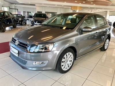 Volkswagen Polo 1.4 5 porte Comfortline BiFuel usata