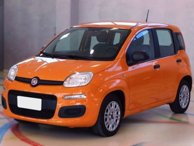 Fiat Panda 1.2 EasyPower usata