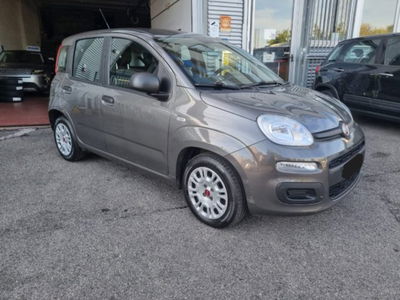 Fiat Panda 1.0 firefly hybrid s&s 70cv 5p.ti usata