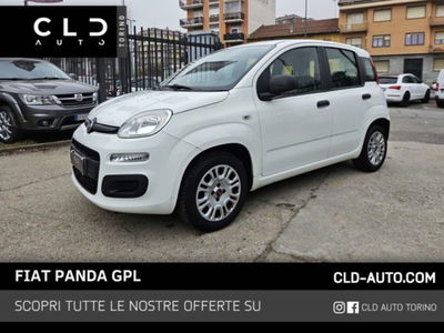 Fiat Panda 1.2 EasyPower Easy usata
