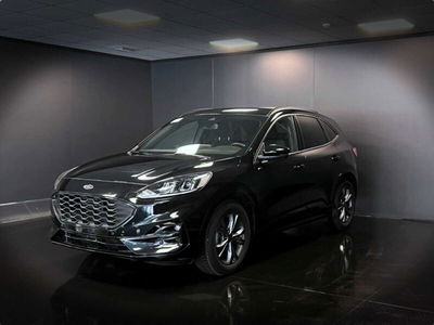 Ford Kuga 2.0 EcoBlue 120 CV aut. 2WD ST-Line X usata