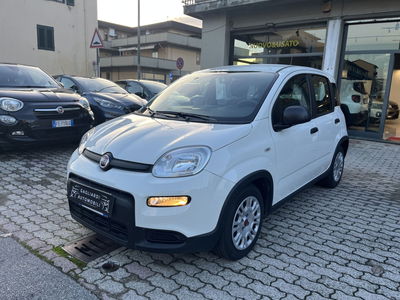 Fiat Panda 1.0 firefly hybrid Pop s&s 70cv usata
