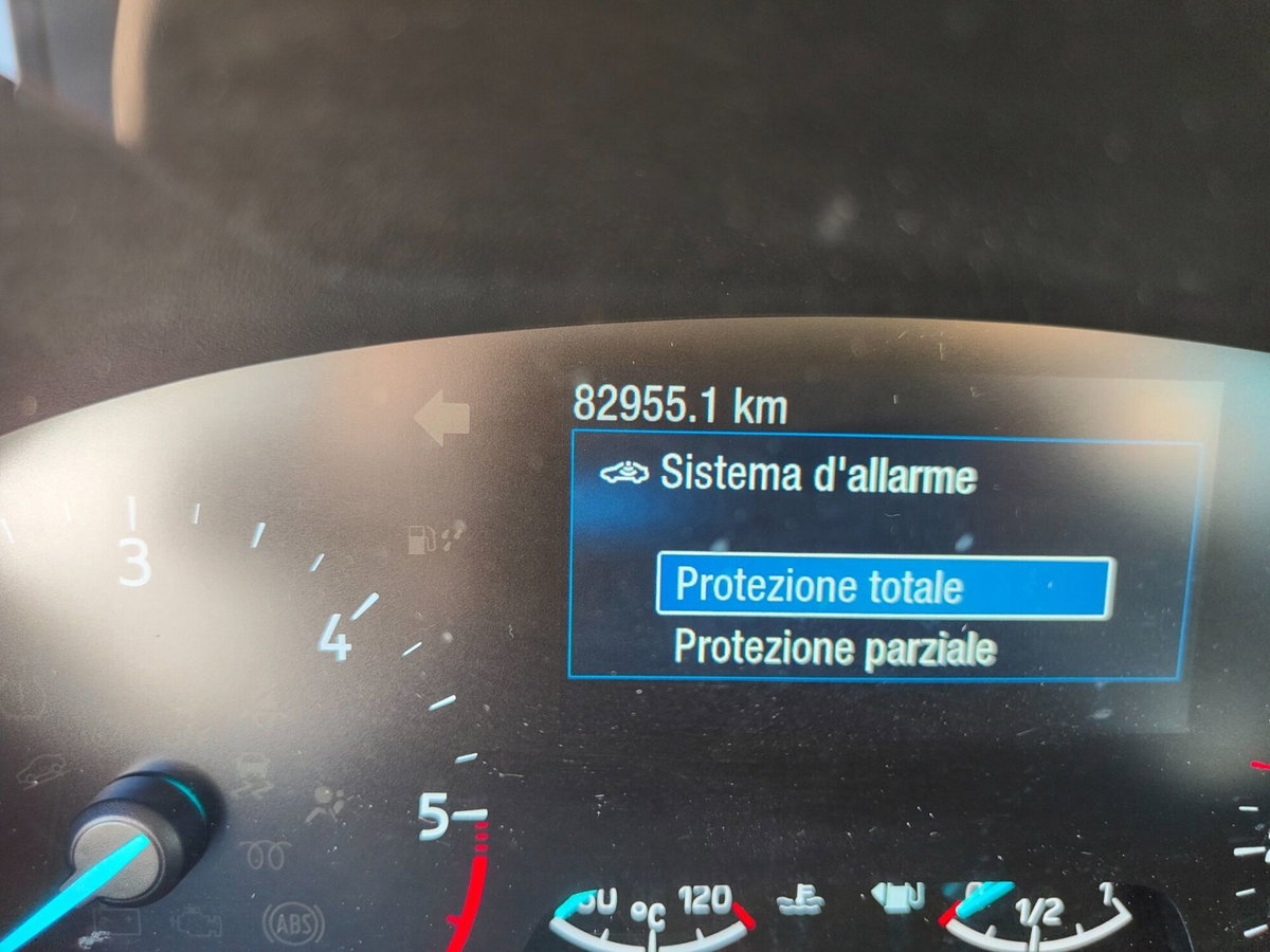 Ford Focus Station Wagon 1.5 EcoBlue 120 CV automatico SW Business Co-Pilot (13)