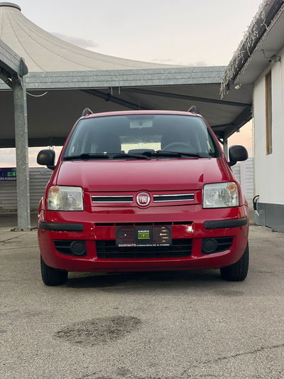 Fiat Panda 1.2 Dynamic usata