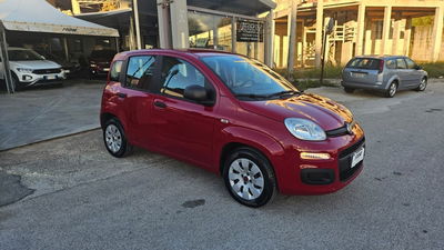 Fiat Panda 1.2 Lounge usata