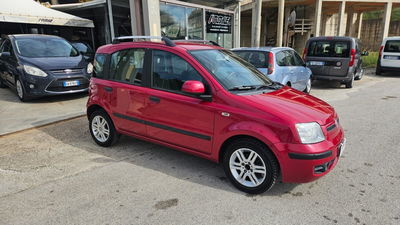 Fiat Panda 1.2 Dynamic usata