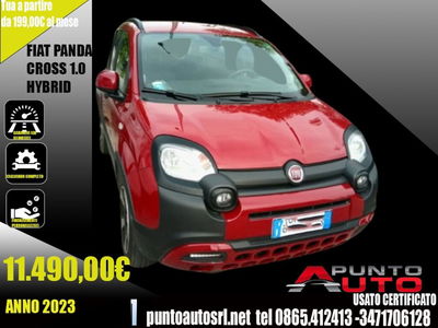 Fiat Panda Cross Cross 1.0 FireFly S&S Hybrid usata