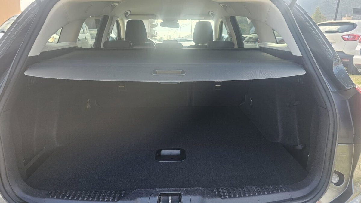 Ford Focus 1.5 EcoBlue 120 CV automatico 5p. Business Co-Pilot (2)