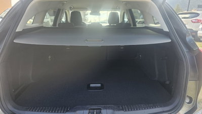 Ford Focus 1.5 EcoBlue 120 CV automatico 5p. Business Co-Pilot (2)