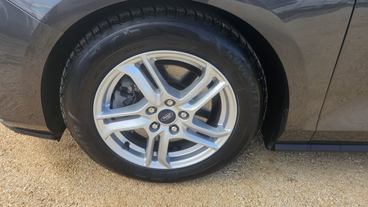 Ford Focus 1.5 EcoBlue 120 CV automatico 5p. Business Co-Pilot (3)