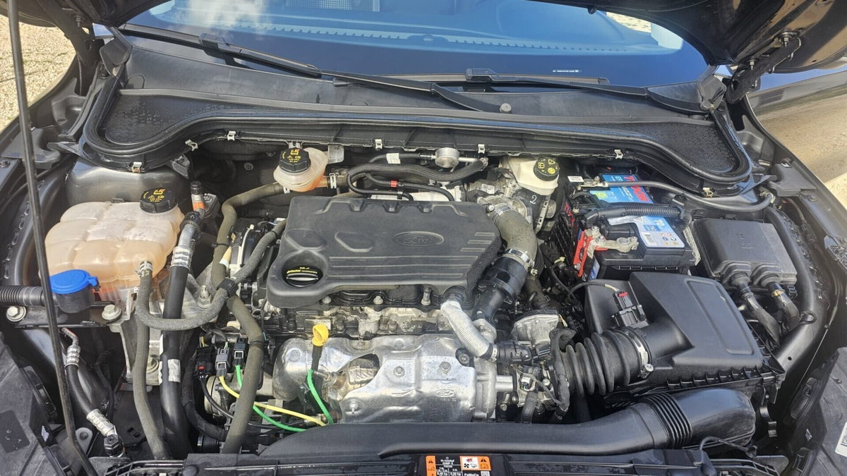 Ford Focus 1.5 EcoBlue 120 CV automatico 5p. Business Co-Pilot (8)