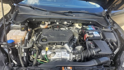 Ford Focus 1.5 EcoBlue 120 CV automatico 5p. Business Co-Pilot (8)