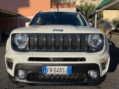 Jeep Renegade 1.6 Mjt 120 CV Business (2)