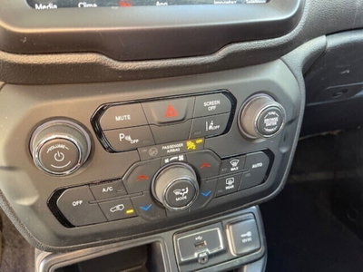 Jeep Renegade 1.6 Mjt 120 CV Business (20)