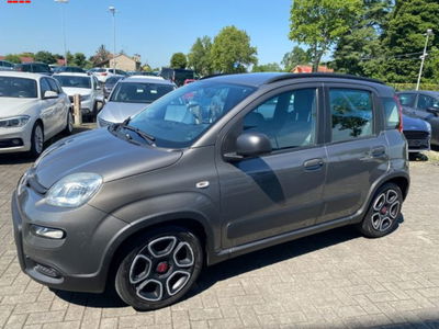 Fiat Panda 1.0 firefly hybrid s&s 70cv usata