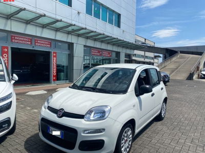 Fiat Panda 1.0 firefly hybrid s&s 70cv usata