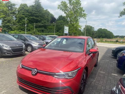 Volkswagen Golf 1.0 TSI EVO Life usata